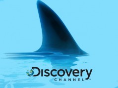 discovery-channel-shark-681x428