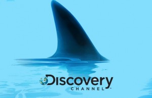 discovery-channel-shark-681x428